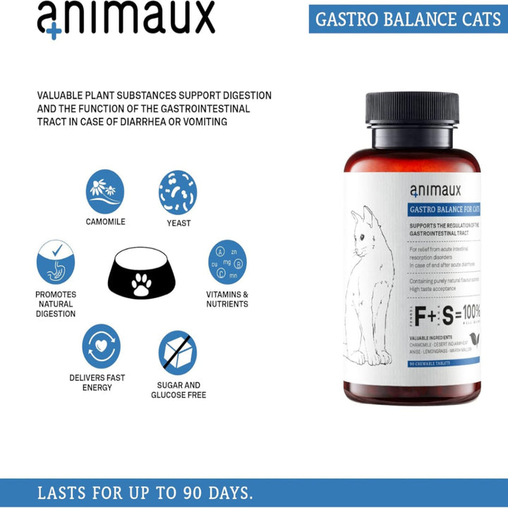 animaux - gastro balance for cats