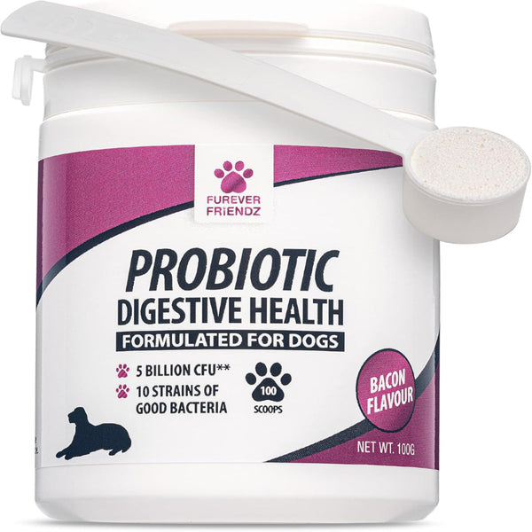 Dog Probiotic Powder